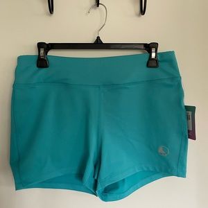Reel Legends Turquoise Shorts Size Large